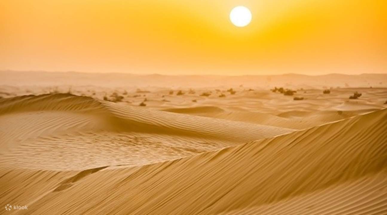 morningdesertsafaritour morningdesertsafaritour