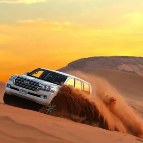 landcruiser.webp