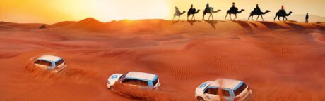 A side-by-side financial price comparison table displaying the latest desert safari cost Dubai packages starting from AED 35 up to AED 599.